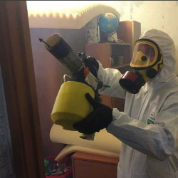 Уничтожение клопов в квартире. Сысерть